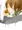 沙紀ちゃん