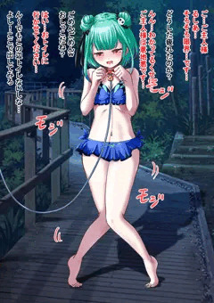 るしあちゃんと夜の散歩