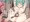 さなえさん