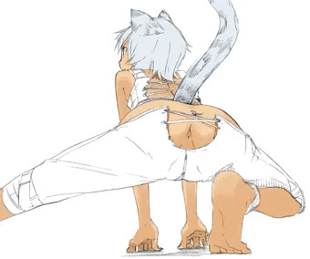 アナチラ猫さん