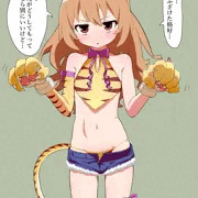虎コス大河すき