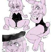 バニーの日