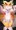 おっぱいれなもん