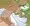 【リク絵】サーナイト