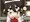 中国うさぎ