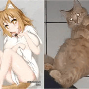 My cat Rushia