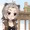 プレーリーさんは迷わずゴリゴリすごいっすねぇ