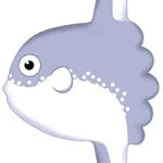 ぬくぬく
