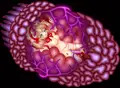 未知の生物に丸呑みされた女の末路