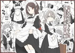 CG集つくりました「仕事中のメイドさんいたずらし放題の屋敷」