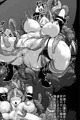 例大祭14新刊　魔胎聖母