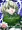 れいたいさいの