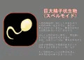 クロステスト