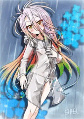 白ちゃん