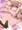 くすぐり木馬