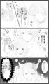 響×綴詰め