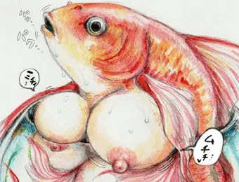 育ちすぎて金魚鉢に入らなくなった金魚
