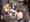ここ最近まとめ　よその子　うちの子　FGO