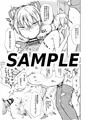 東方CJD合同 華、散ラス―――