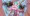 魔法少女VSイビルアイの群れ