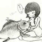 懐いている座敷鯉