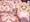 skebセルニアNTR