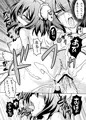 華扇にMedizin2