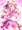 魔法少女ココアさん