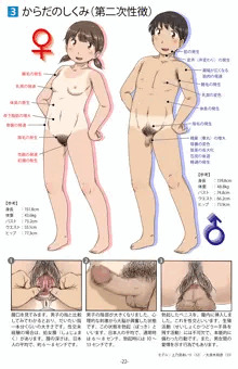 【旧作】保健の教科書風( ﾟДﾟ)