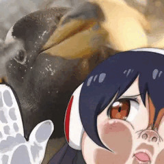ジェンツーペンギンのジェーンです