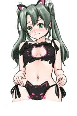 猫の日