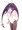 白バニー
