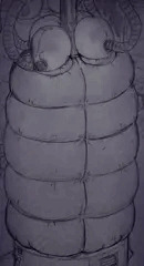 圧迫式収容檻