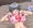 YES/NO枕