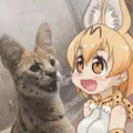 西に吠えろ、東に吠えろ