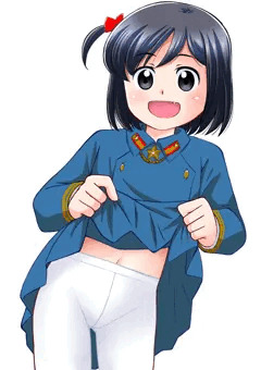 某将軍様