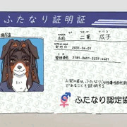 ふたなり証明証