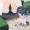 猫視点しゃがみパンチラ