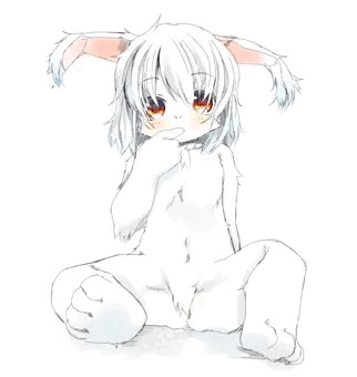 アンゴラペドケモ