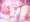 こんこよ