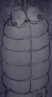 圧迫式収容檻