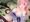 酔いすぎていろいろ開放的になってるお姉さん