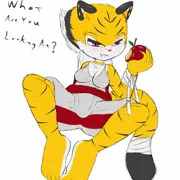 Veruka the Tigress
