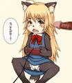 明日の