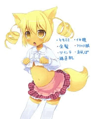 ツイッターのフォロワーさんの...