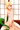 きっちょさん