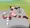 モノリス×ホリィ　パート２