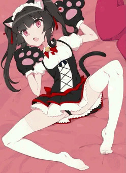 発情猫調