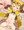 コルネ(リク絵)