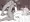 エルフ